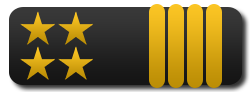 Airline Transport Captain rank epaulette