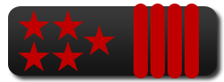 Executive Senior Captain rank epaulette